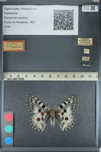 Media type: image;   Entomology 174966